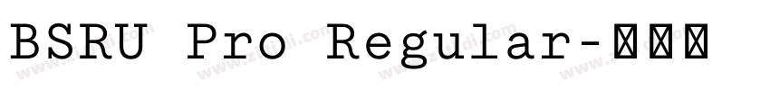 BSRU Pro Regular字体转换
